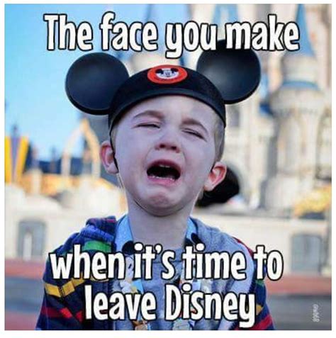 disney world funny|funny disney world pictures.